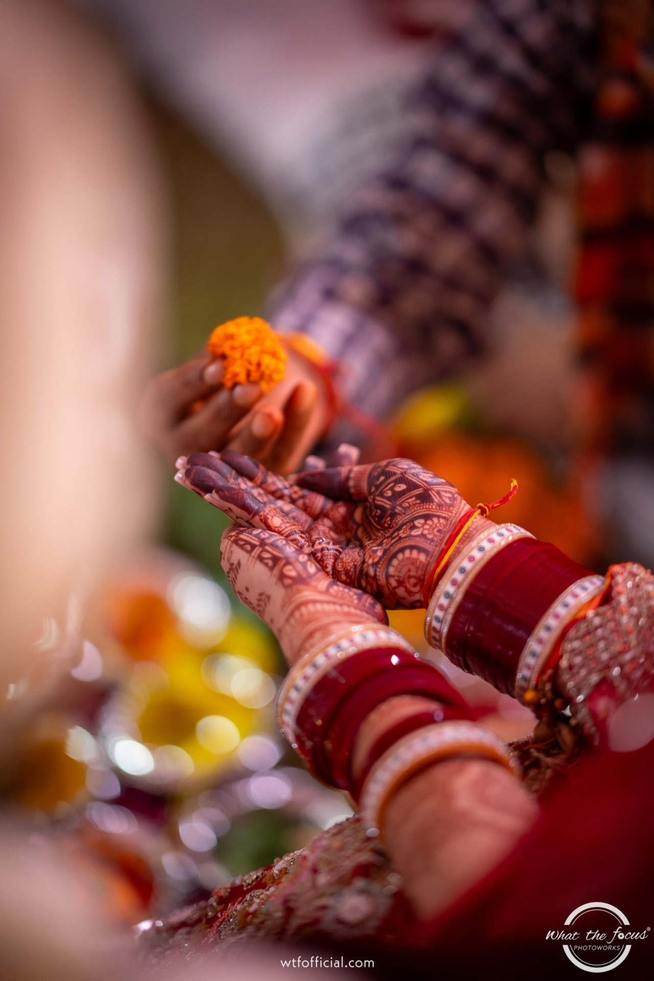 Anukriti and Shivam's wedding day